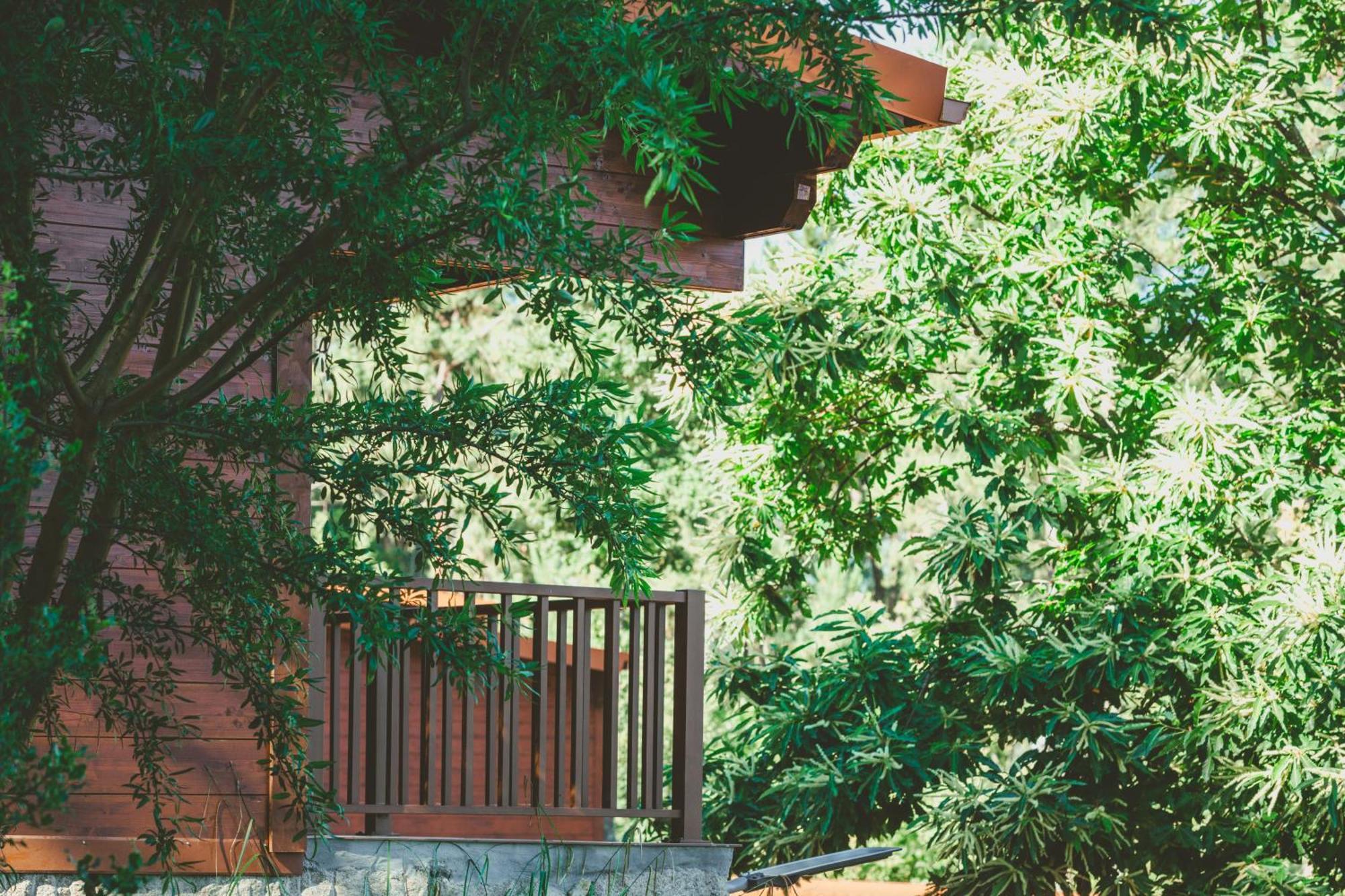 Quinta Do Lameiro Tarouca Экстерьер фото